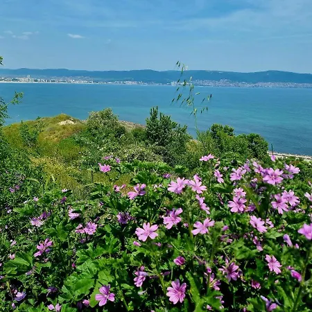 With Balcony 300m From Apartment Sunny Beach